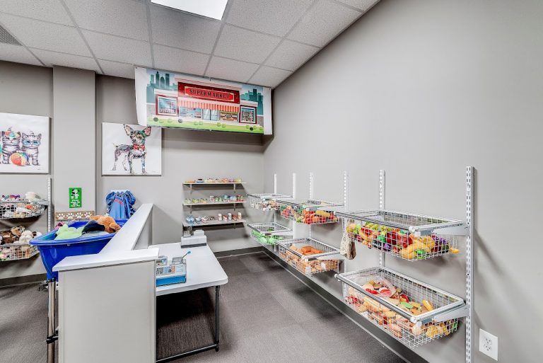 play room at Lafayette Autism therapy Center
