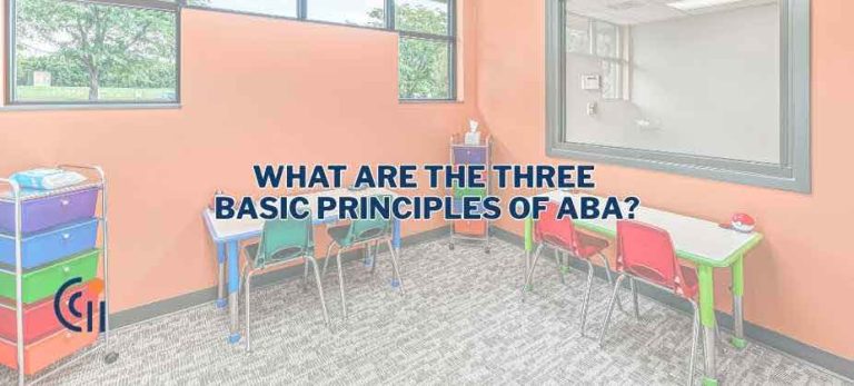 What Are the Three Basic Principles of ABA? thumbnail